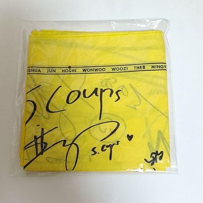 SEVENTEEN DICON My choice is hoshi