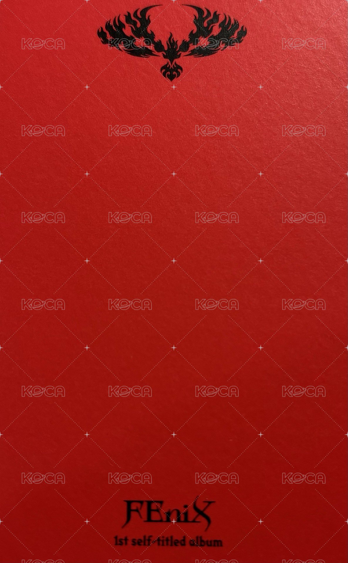 FEniX 專輯卡 一專卡 背面