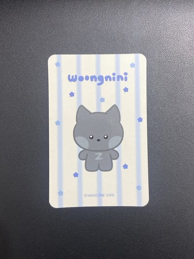 周邊｜收納包卡雄（特殊卡背）