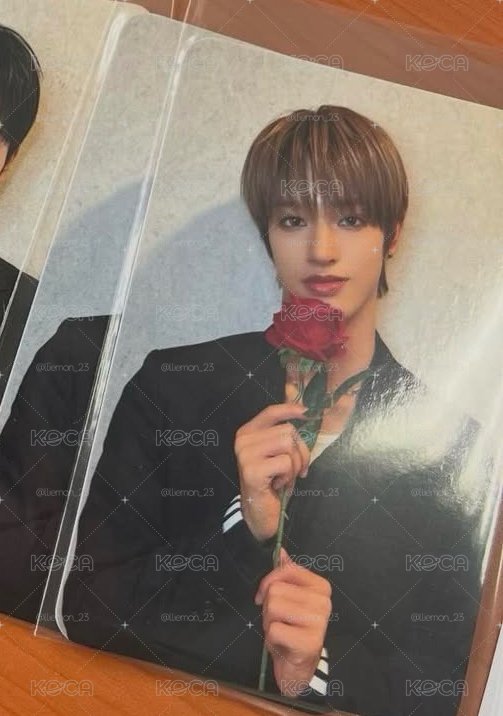 玫瑰星太⭐️