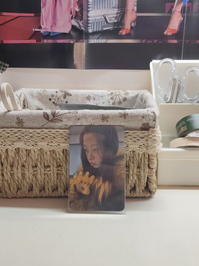 中背吉（小博美一直陪着你🐶