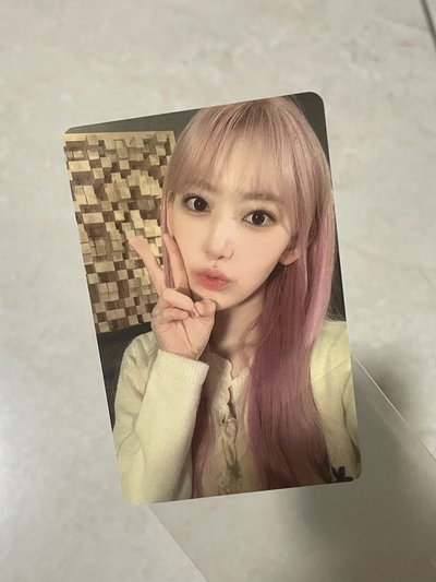 磁帶櫻（有小損）