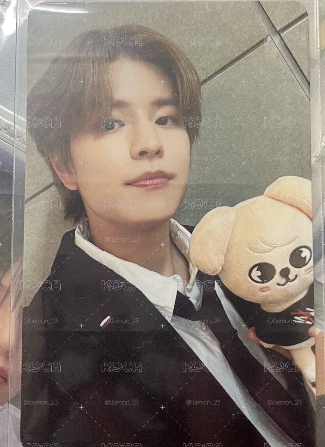 小狗跟帥狗