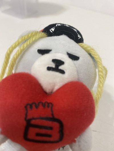 BIGBANG TAEYANG KRUNK 抱心娃