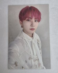 定めSADAME hmv 抽選卡 