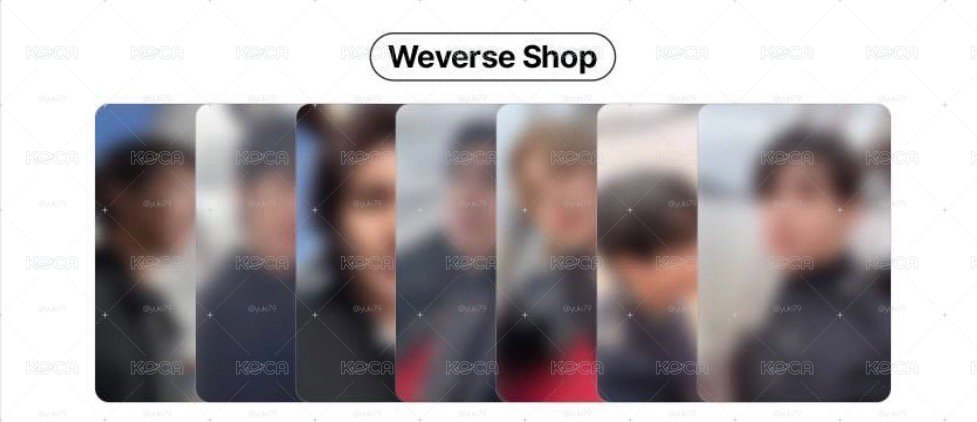 wvs單特典