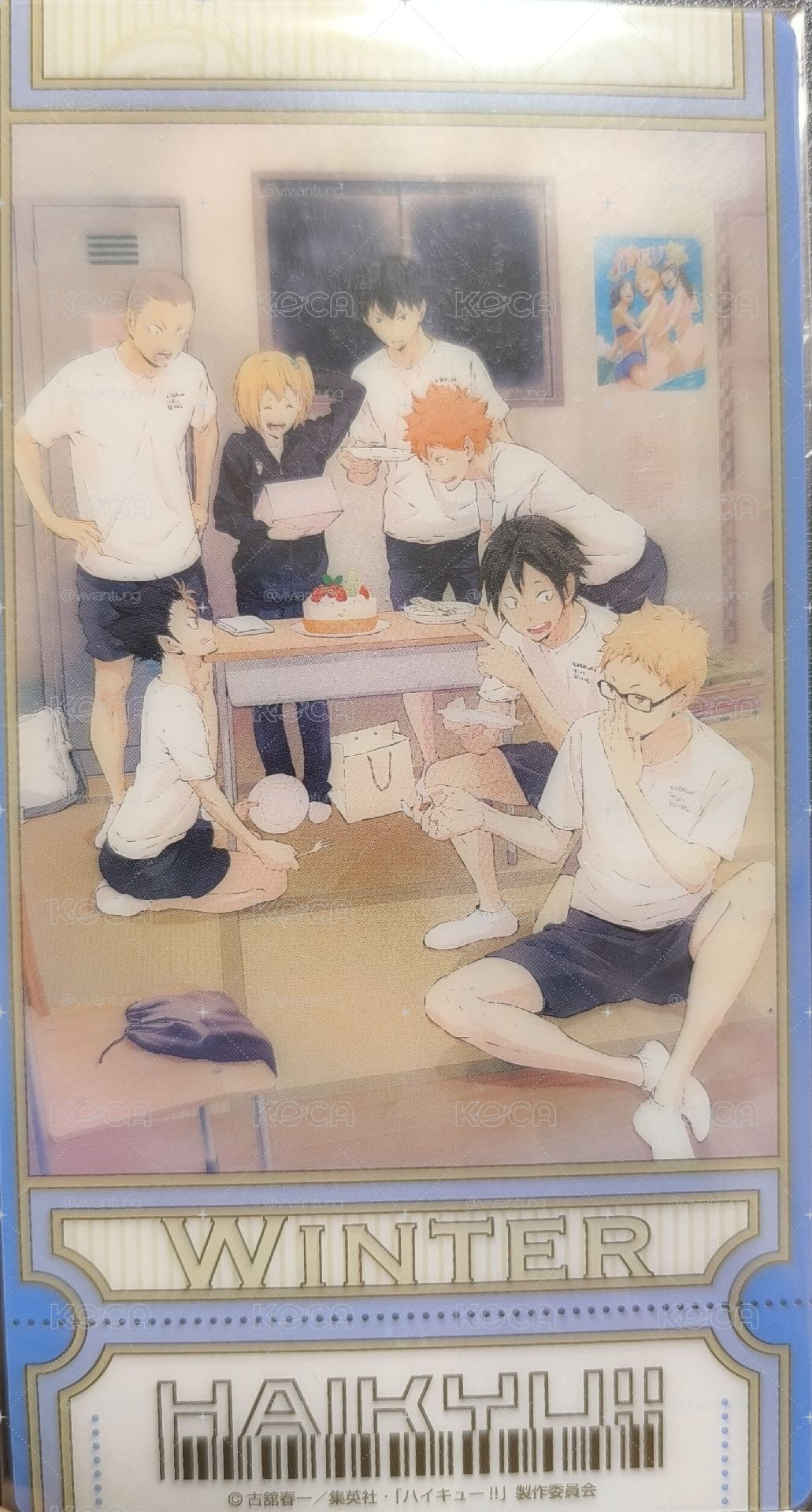 排球少年!! Visual Clear Ticket