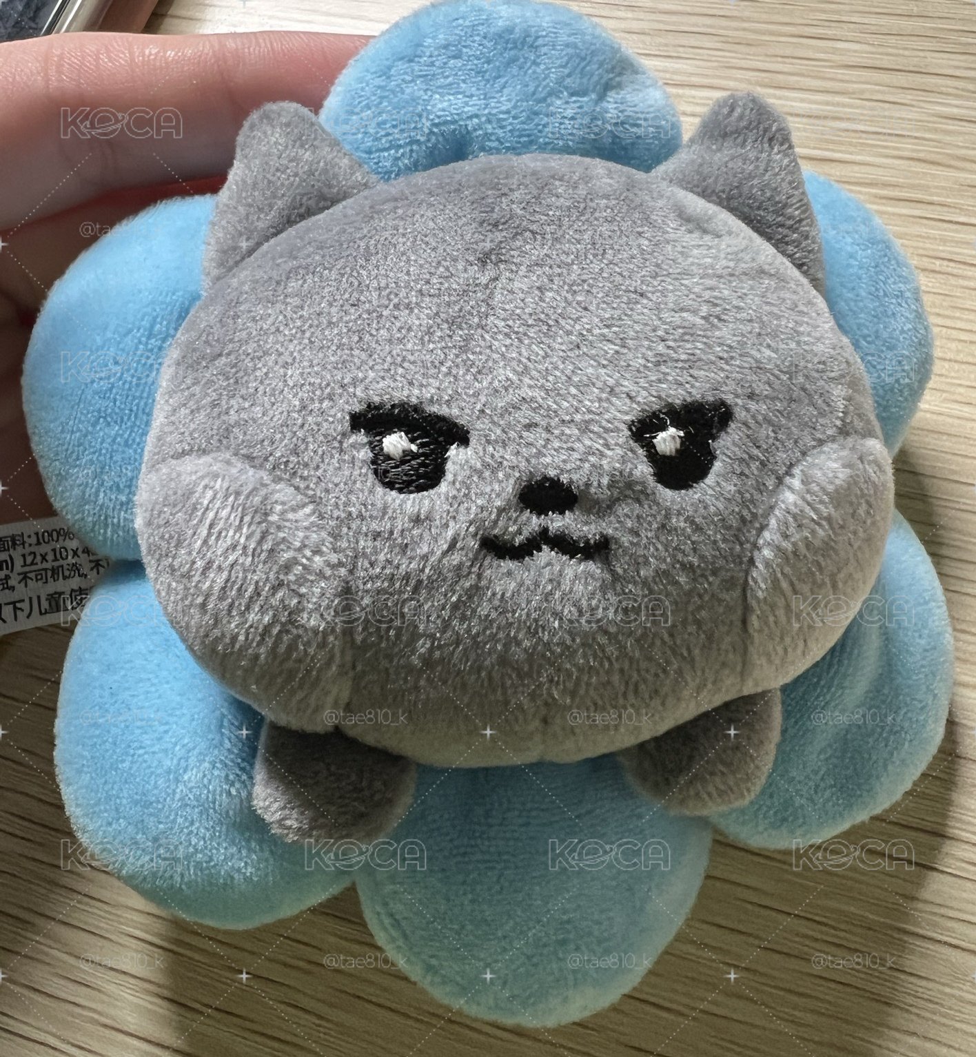 手燈裝飾雄