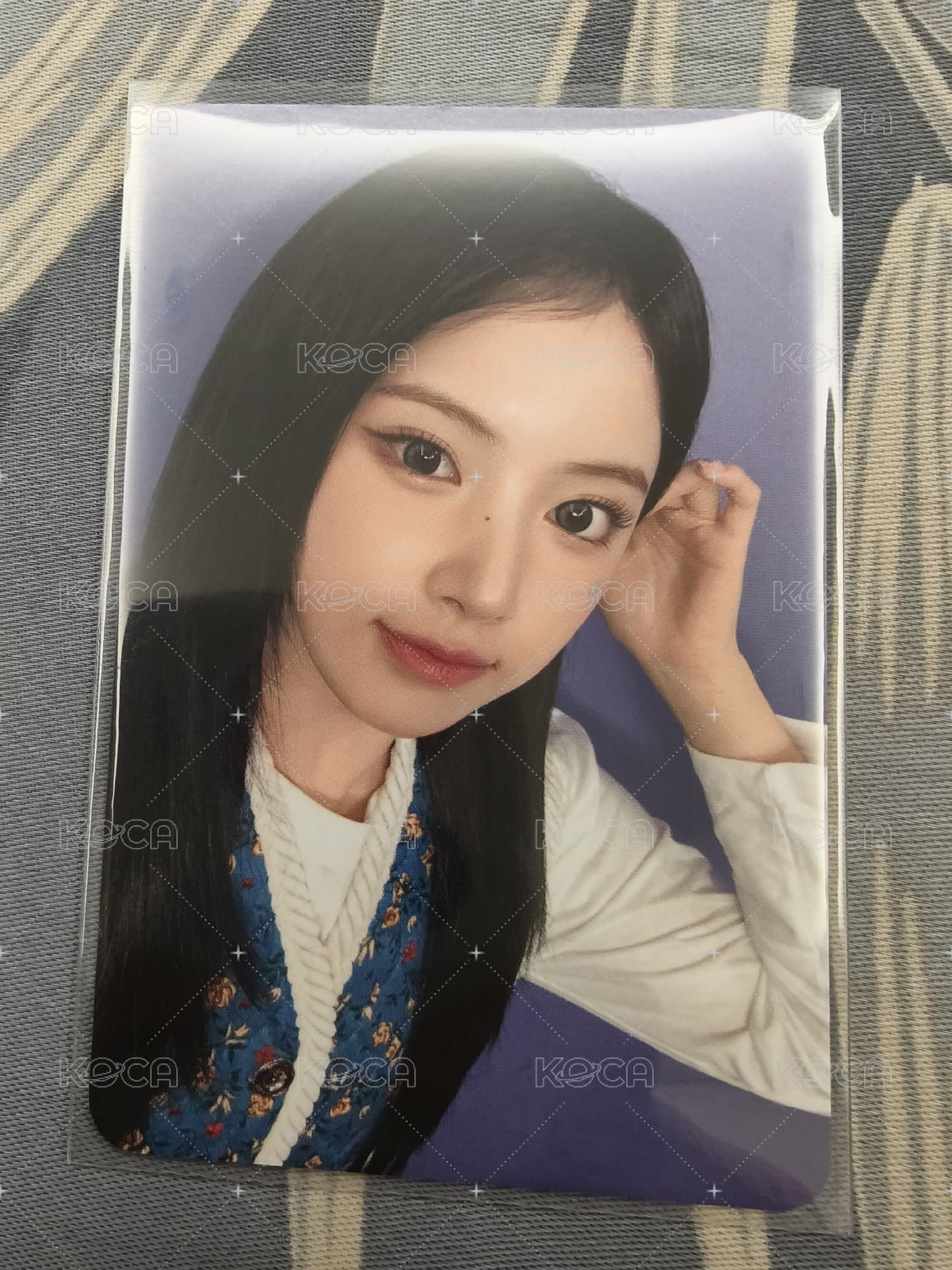 泡菜友