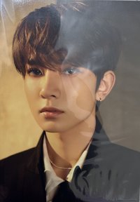 FATE+ 照片組 照片大卡套