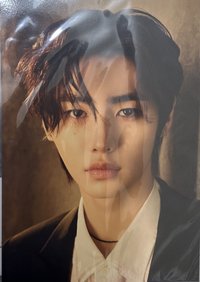 FATE+ 照片組 照片大卡套