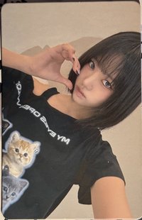 迷一 周邊卡 中國快閃小貓T