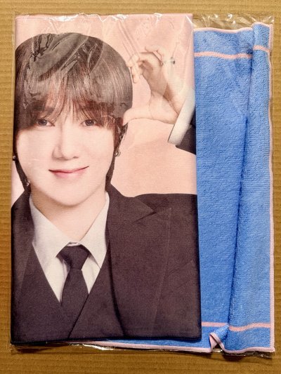 Super Junior 日本SS10週邊 サランヘスローガンタオル (應援巾) 