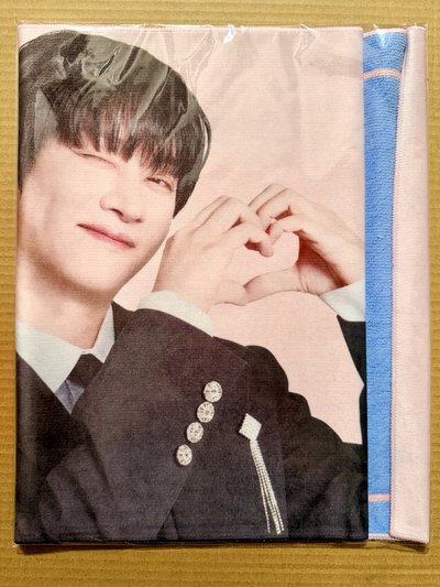 Super Junior 日本SS10週邊 サランヘスローガンタオル (應援巾) 