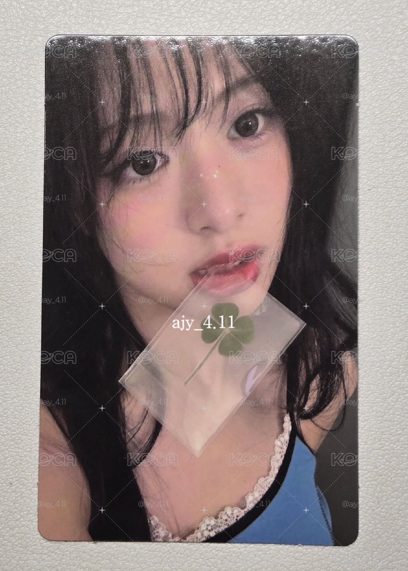 幸運草賢 現貨
