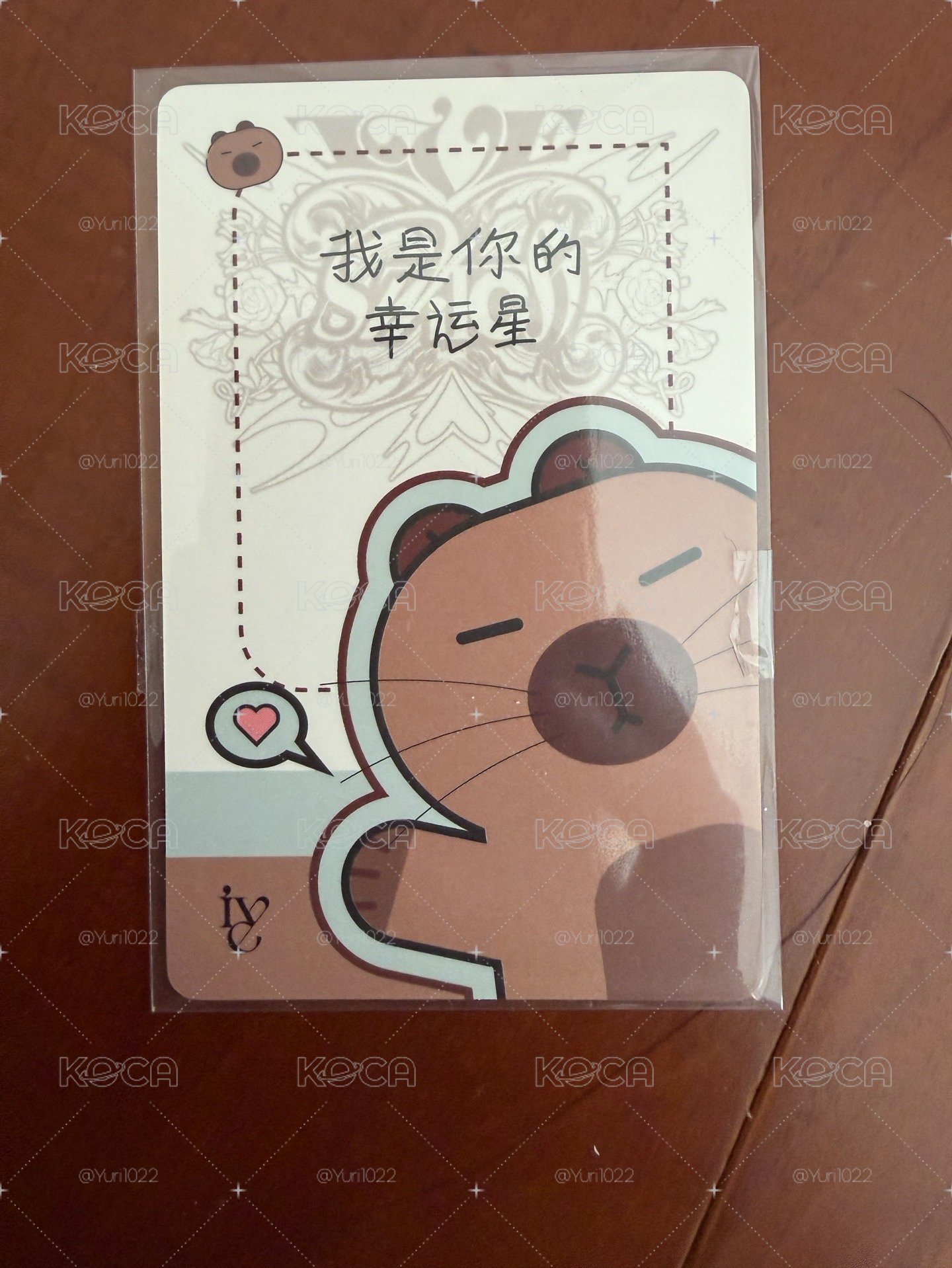 李瑞 IVE SWITCH yzy 3.0 簽售卡 卡皮巴拉 瑞 中文卡背