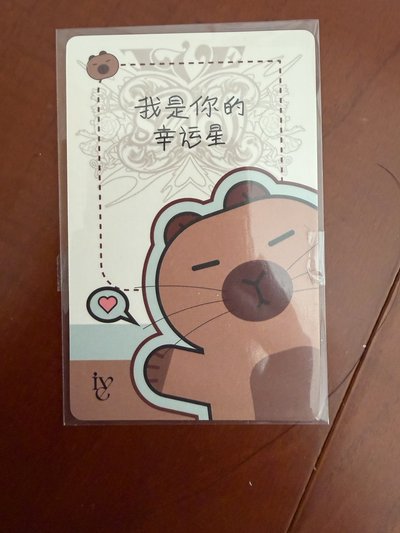 李瑞 IVE SWITCH yzy 3.0 簽售卡 卡皮巴拉 瑞 中文卡背