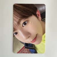 🦭 songbird letter