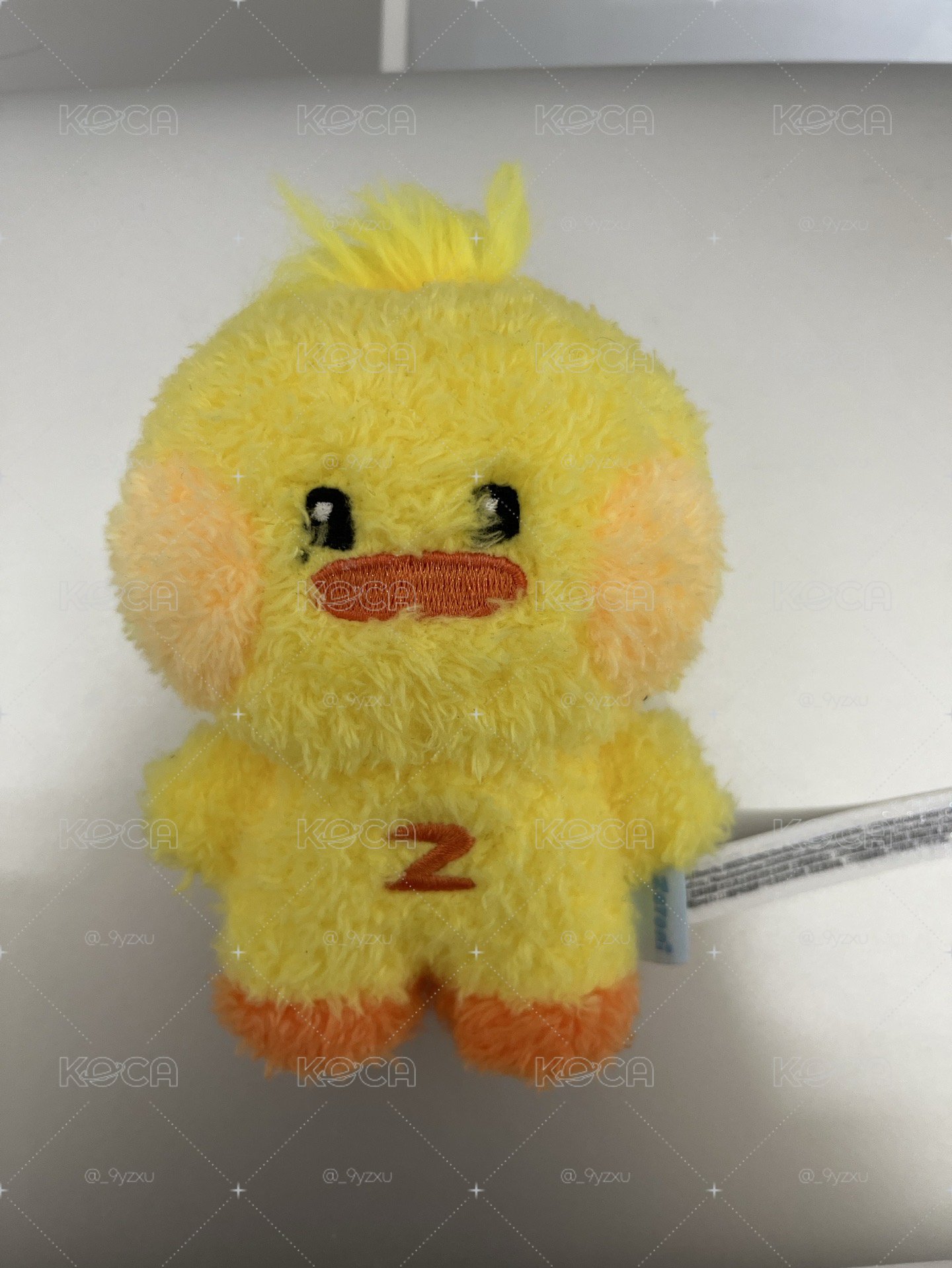 泰尼尼盒娃