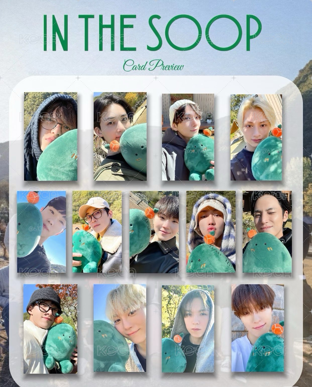 seventeen in the soop ver2 仙人掌坐娃