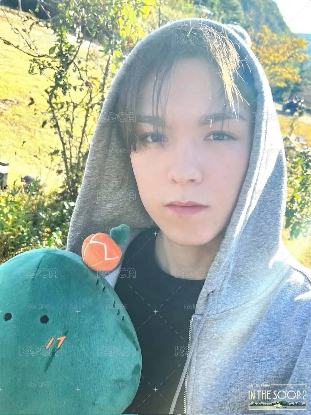 seventeen in the soop ver2 仙人掌坐娃