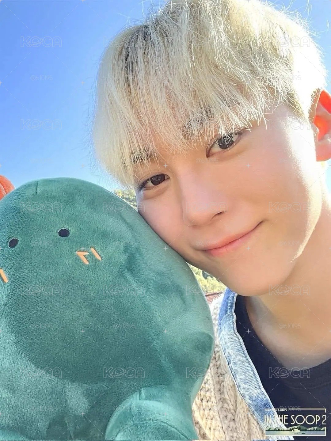 seventeen in the soop ver2 仙人掌坐娃