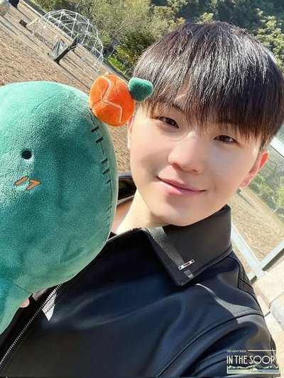 seventeen in the soop ver2 仙人掌坐娃