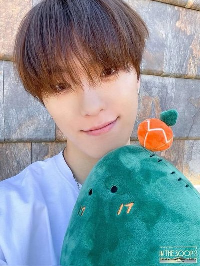 seventeen in the soop ver2 仙人掌坐娃