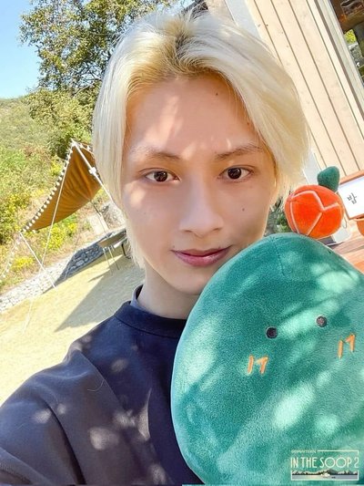 seventeen in the soop ver2 仙人掌坐娃