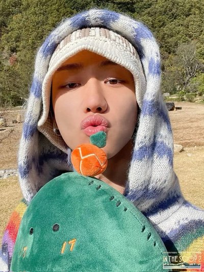 seventeen in the soop ver2 仙人掌坐娃