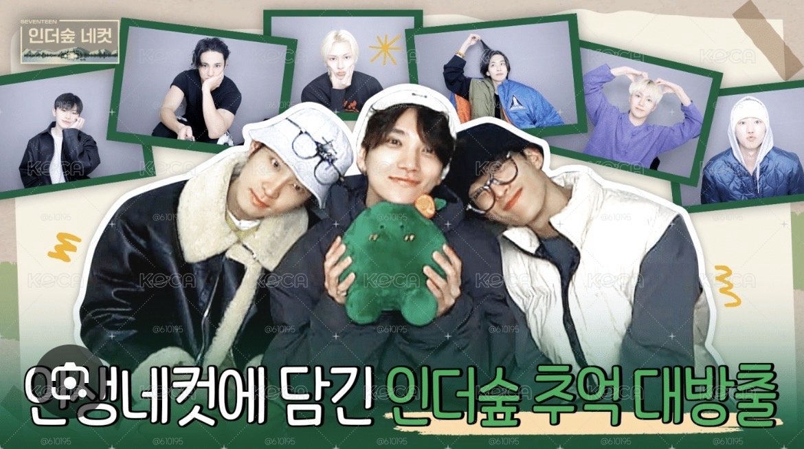 seventeen in the soop ver2 仙人掌坐娃