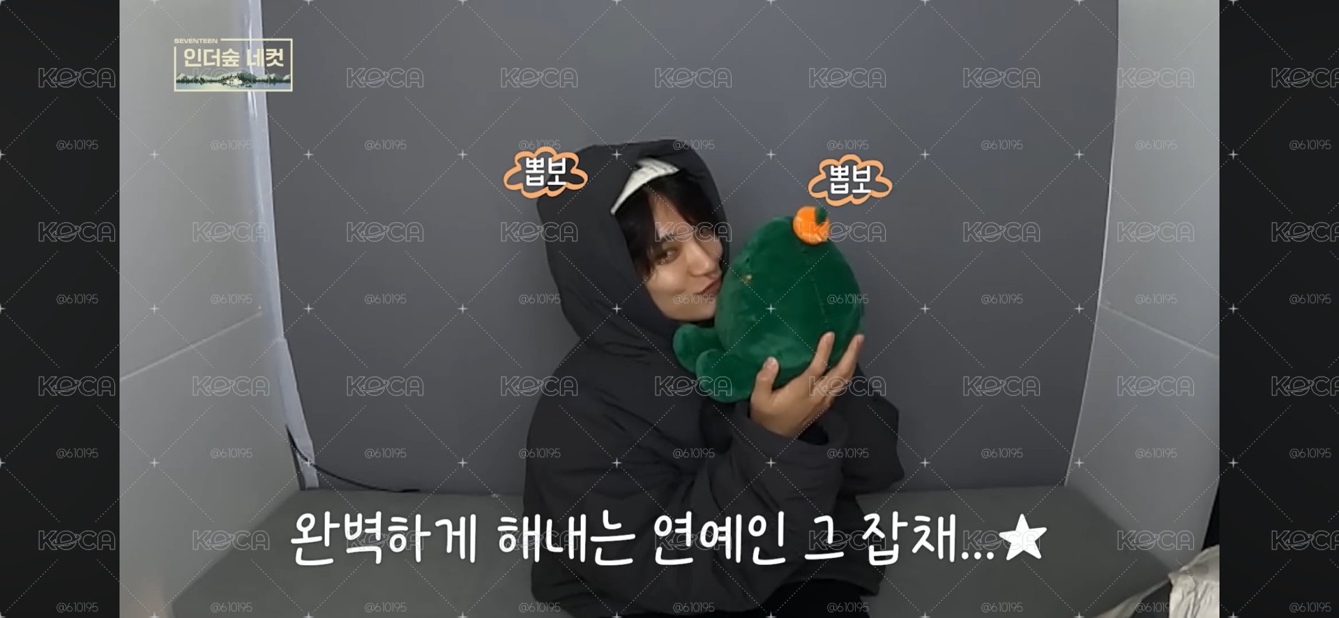 seventeen in the soop ver2 仙人掌坐娃