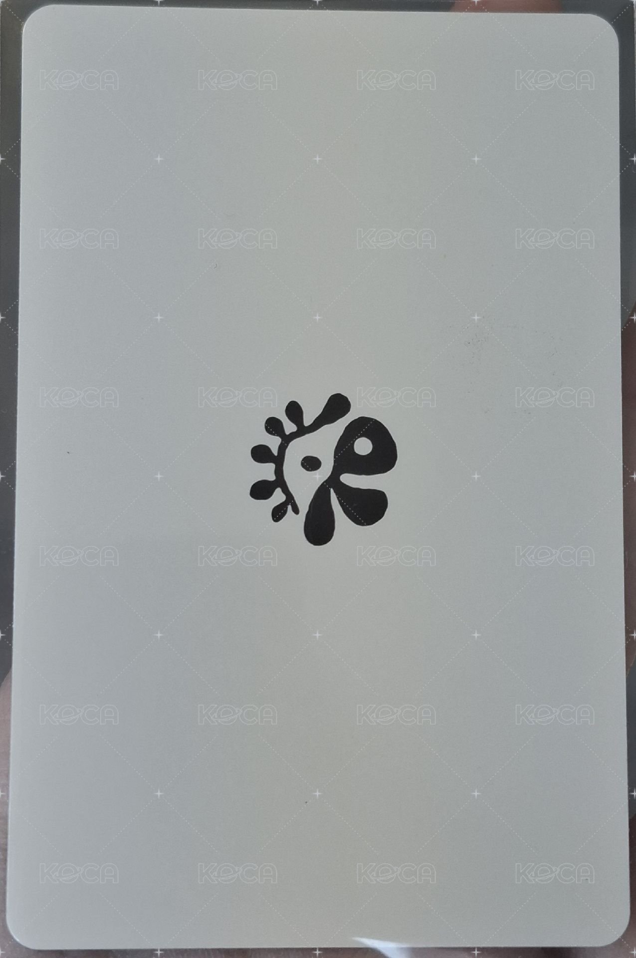 趙雨凡
