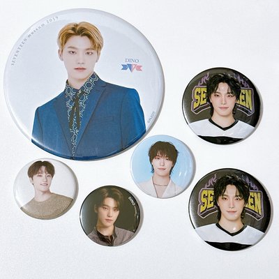 Seventeen 李燦徽章小盤