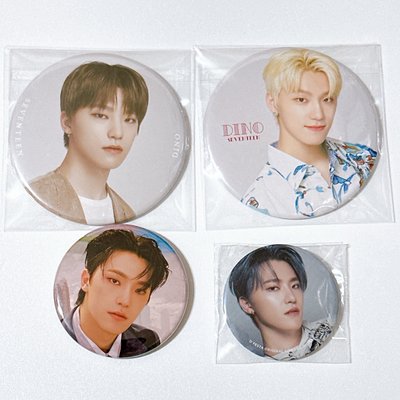 Seventeen 李燦徽章小盤