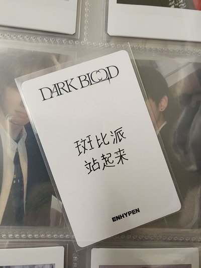 ENHYPEN 李羲承 迷五一直娛 中背