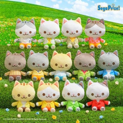 🩷svt 1st JP EP DREAM sega 貓吊飾娃娃 淨漢貓