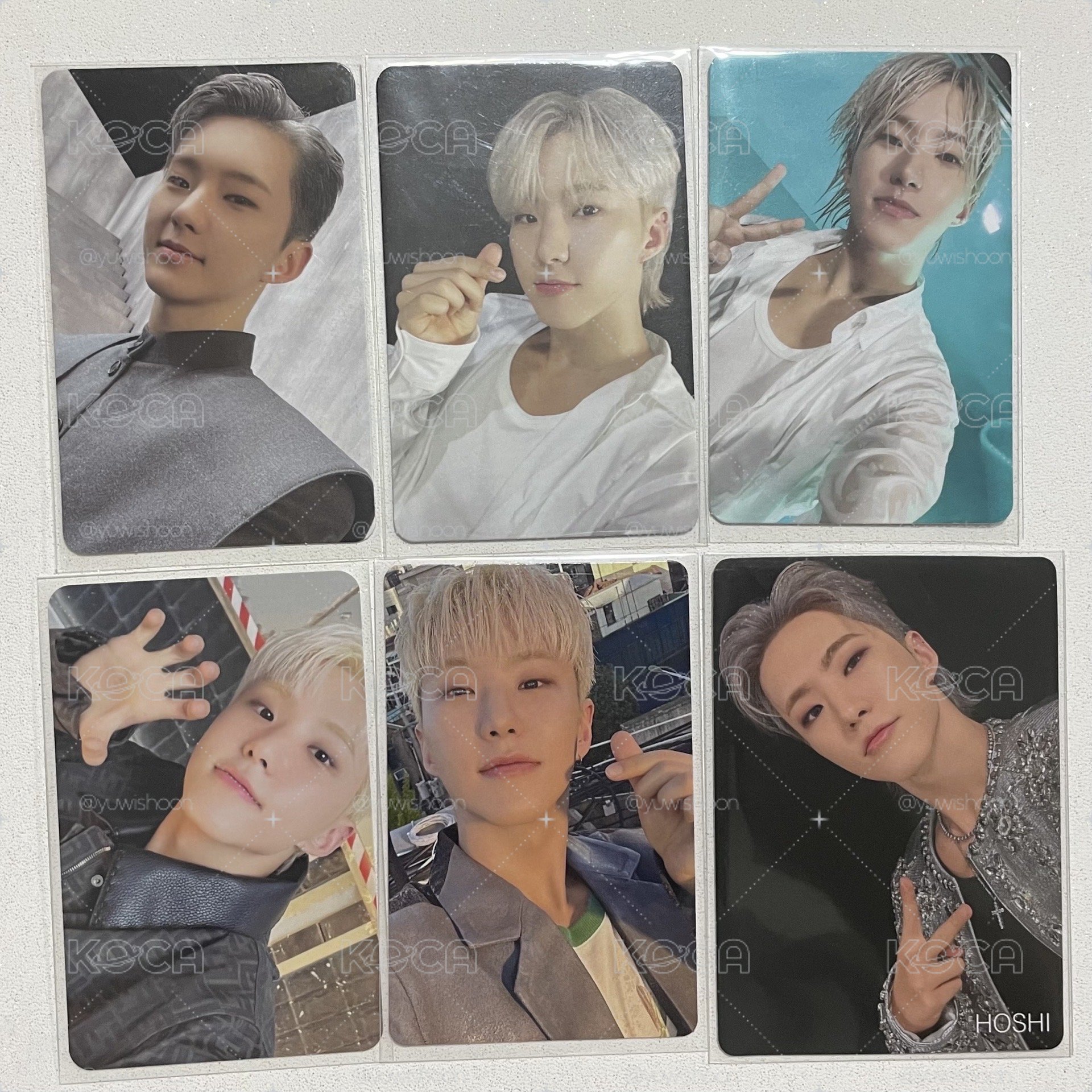 Hoshi 🐯