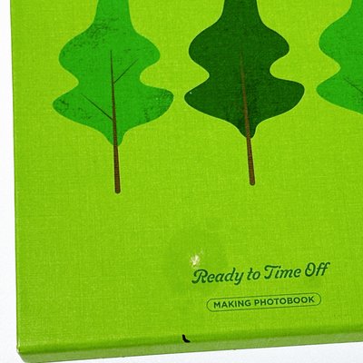 Seventeen in the soop2寫真