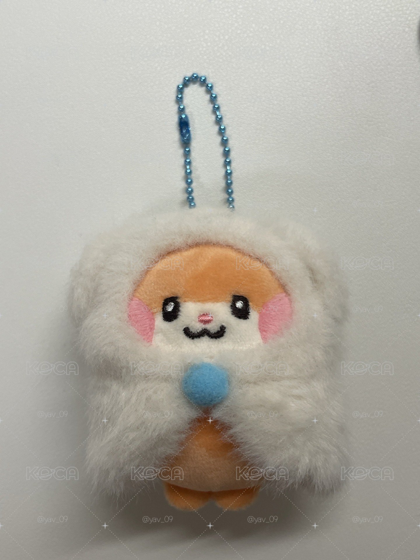 彬動物娃