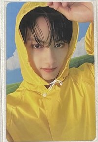 怕淋濕的小貓咪