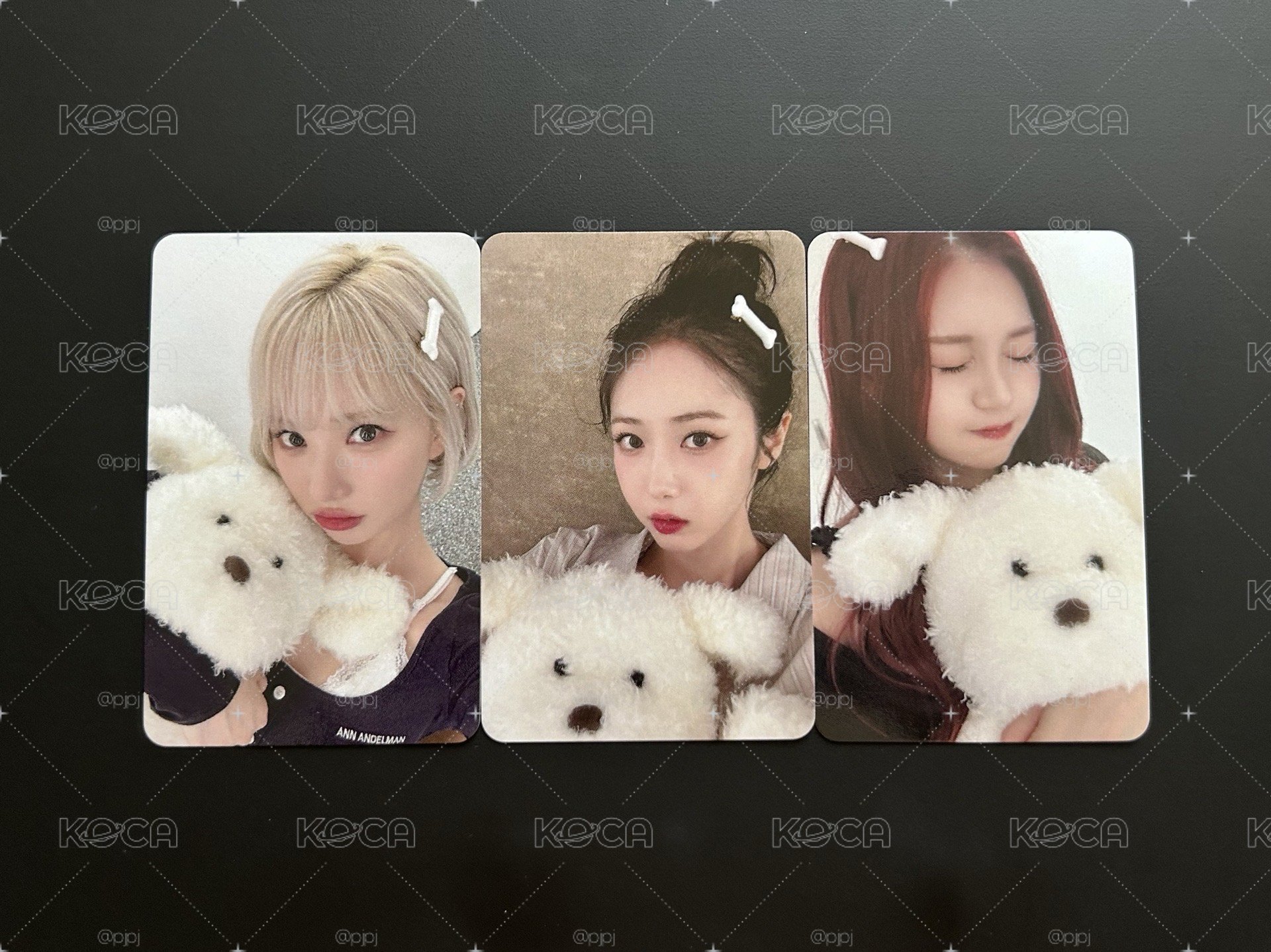 VIVIZ 正規一 狗狗一套🐶