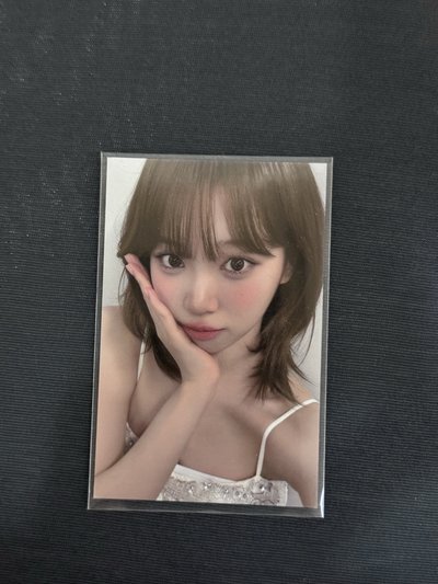 香港采zone+台北采zone