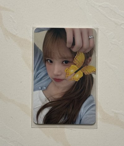 ［可單出］ms蝴蝶河