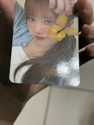 ［可單出］ms蝴蝶河