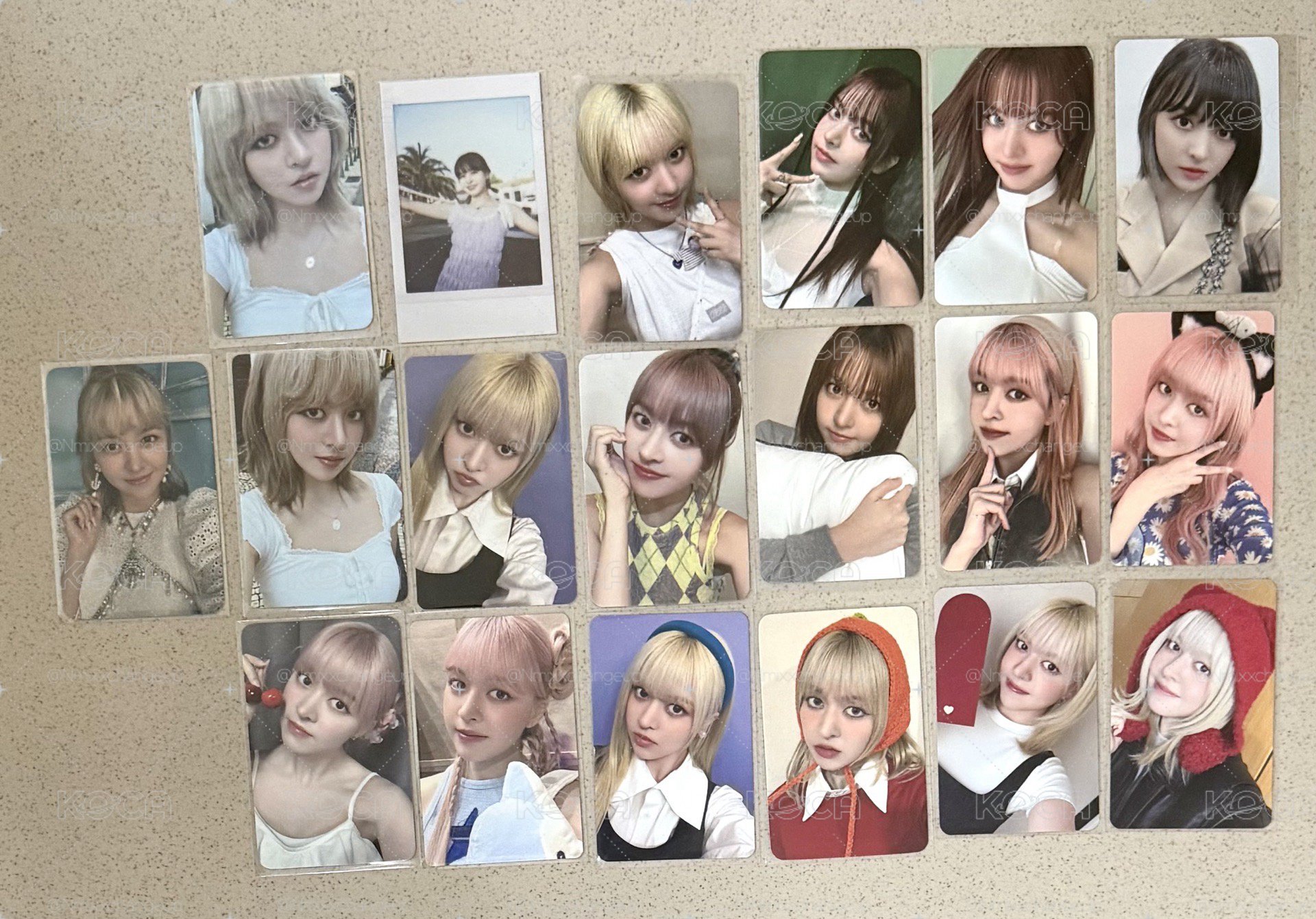 莉小盤100一張