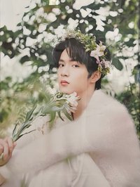 春日記憶   海報 花環