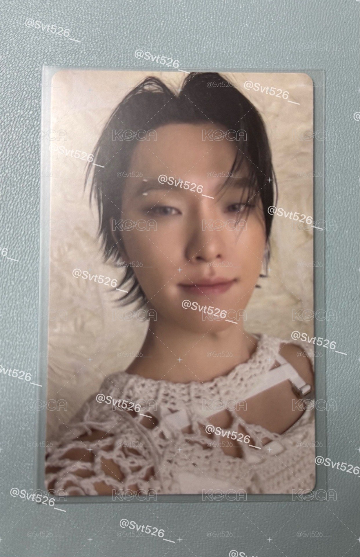 DINO 正規五WVS GV 特典小卡