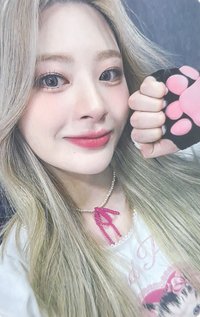 泰迪熊 mokket wf 特典卡 貓爪森