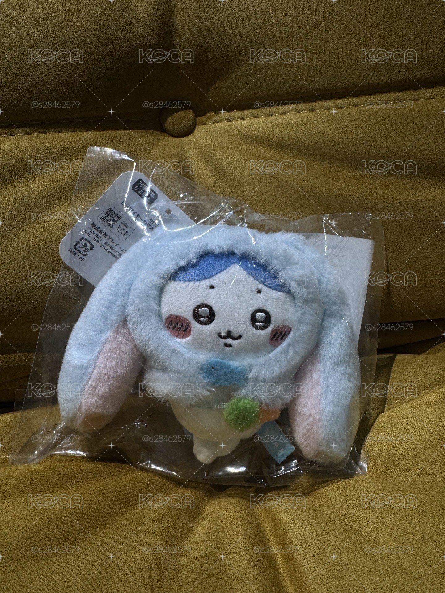 小八 台北常設店限定款長耳
